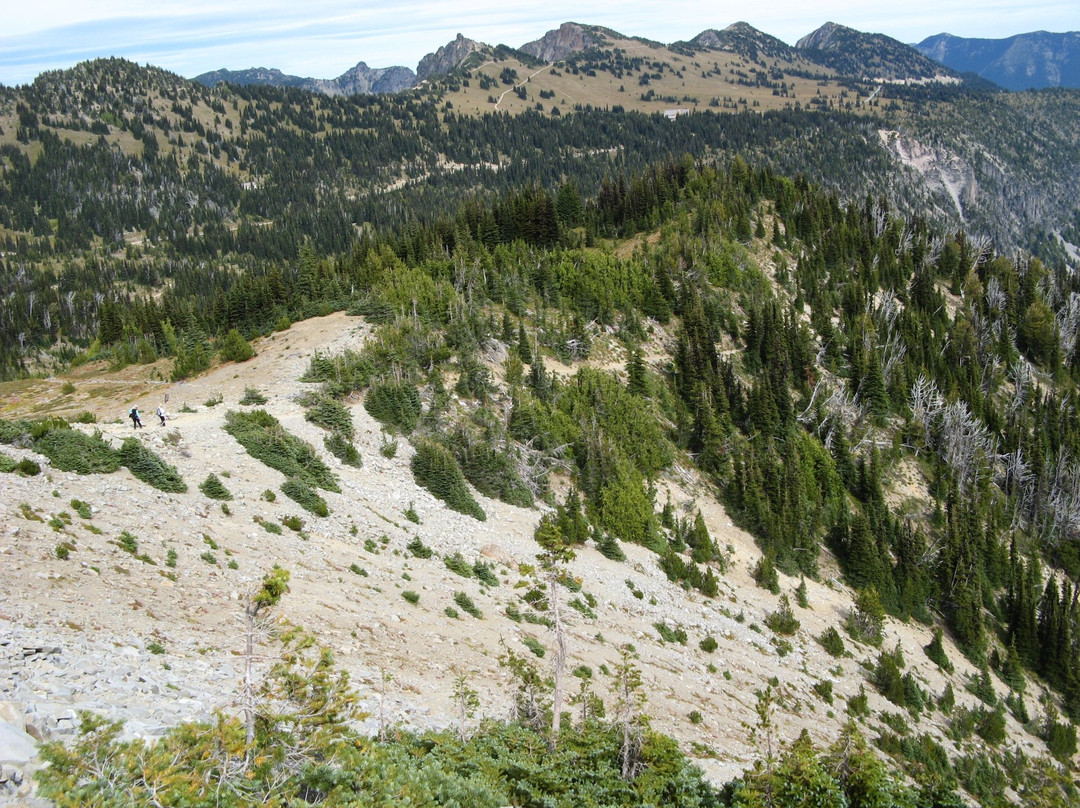 Burroughs Mountain Trail景点图片