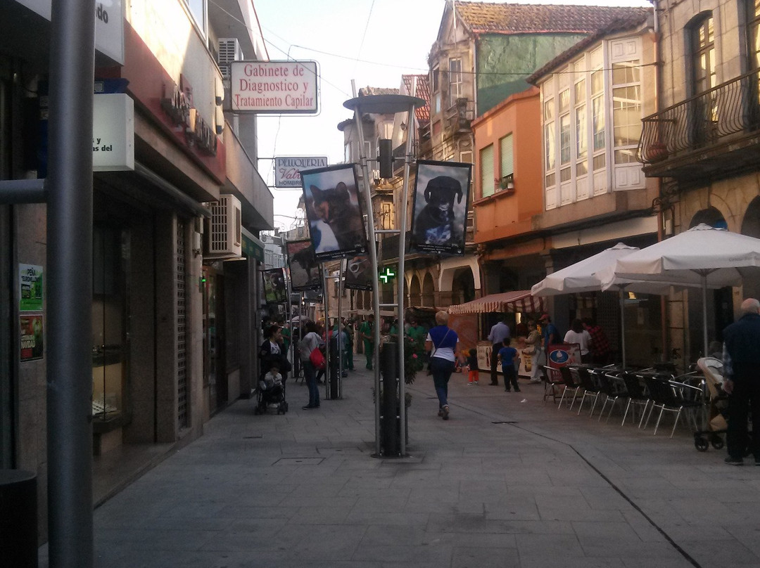 Concello do Porriño景点图片