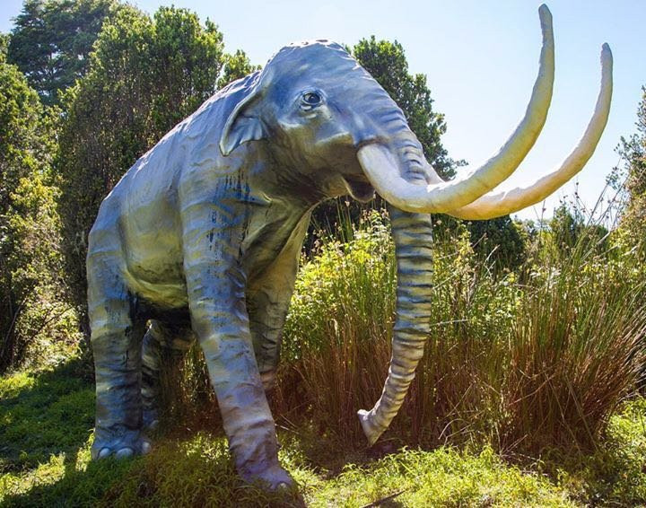 Monte Verde-蒙特港必去景点