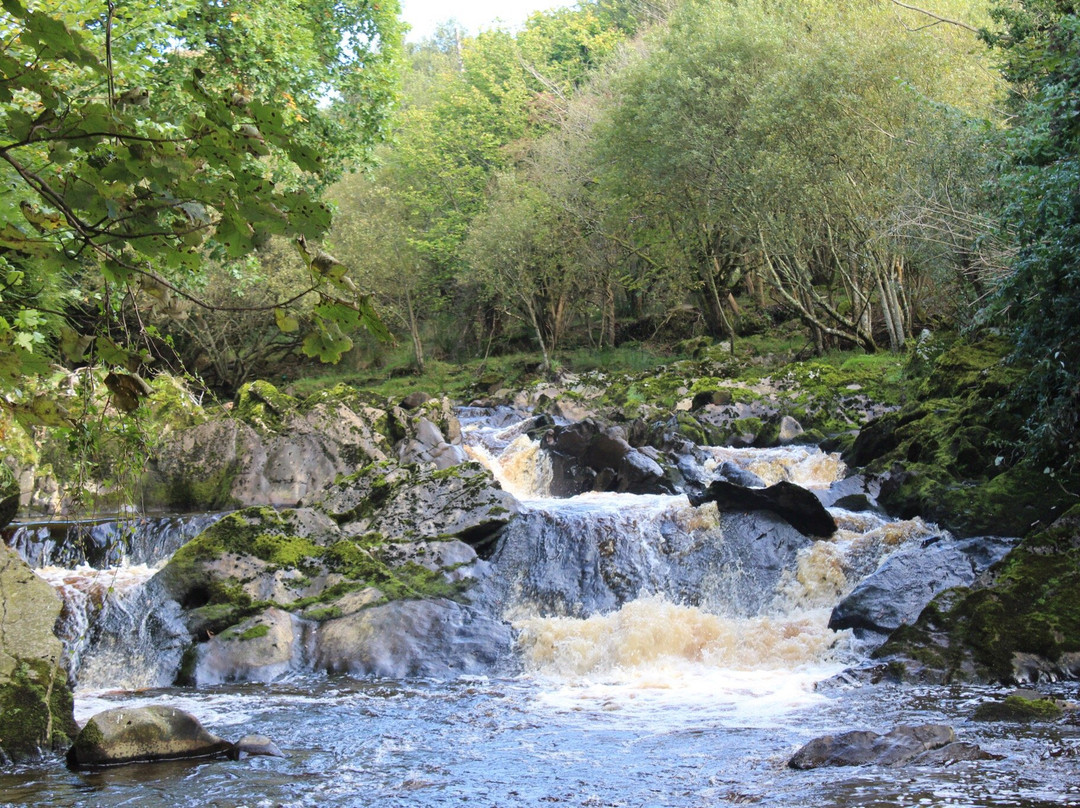 Swan Park-Buncrana必去景点
