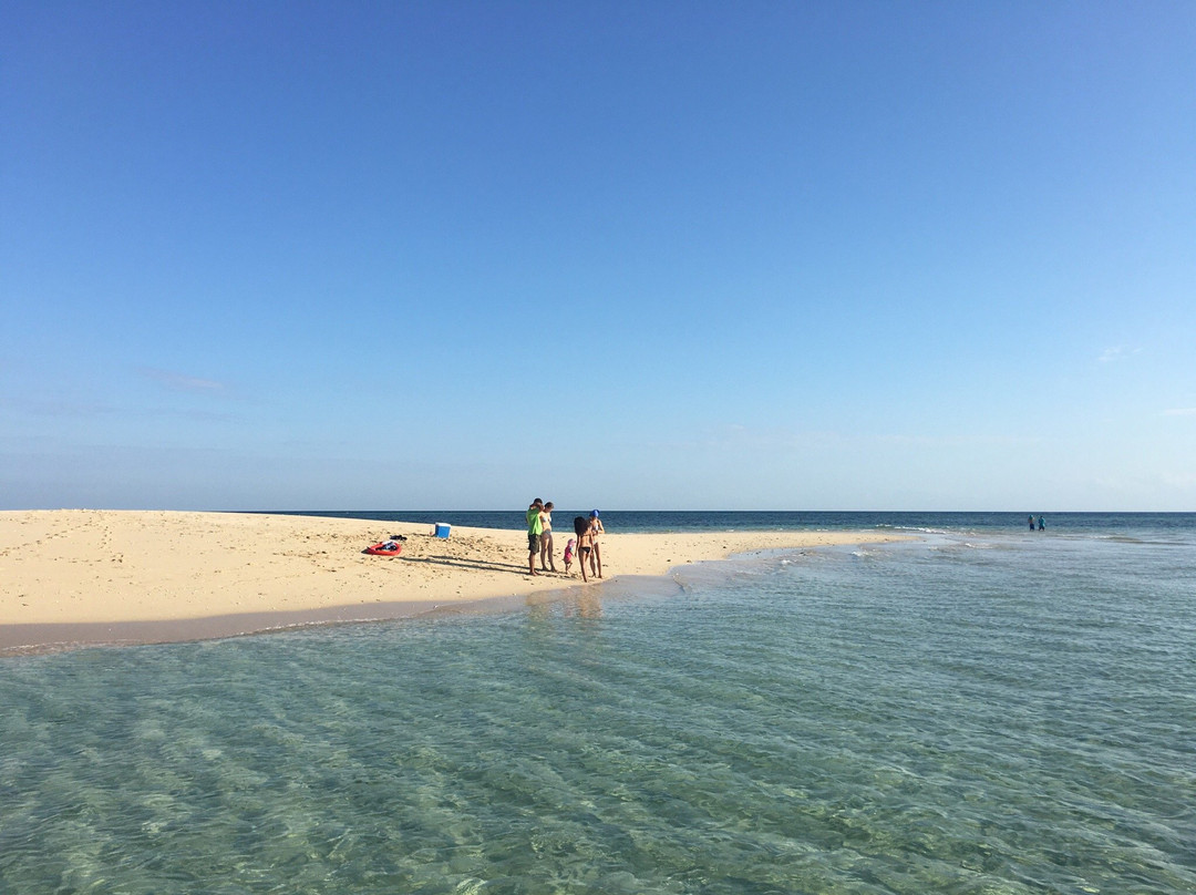 Mike's Deep Sea Fishing Pangani景点图片