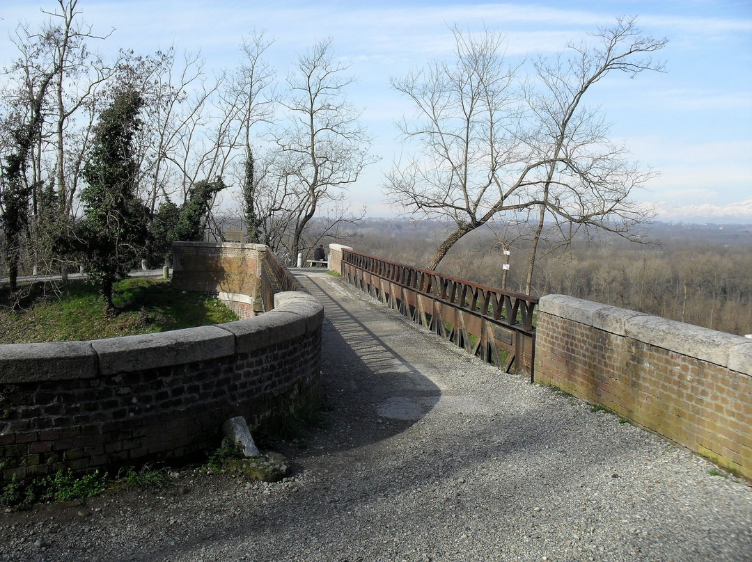 Centro Parco Ex Dogana景点图片