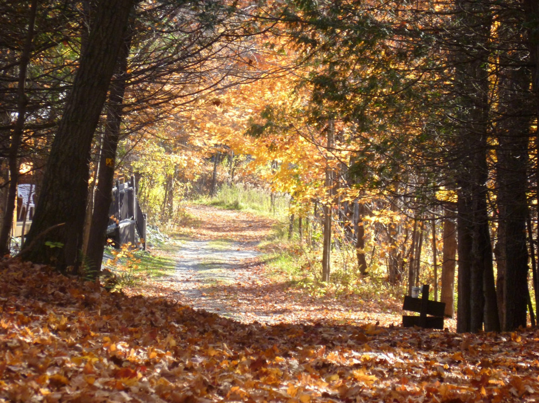 Orford Music-Orford必去景点