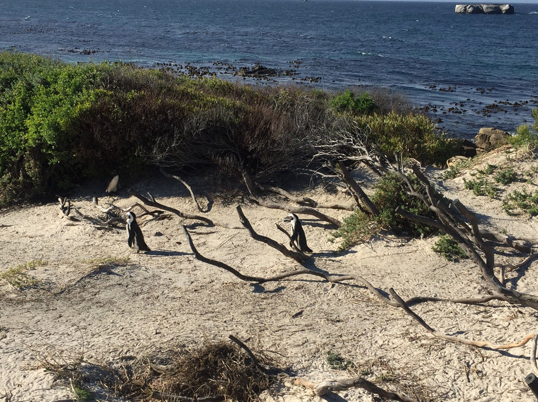 Simon's Town Country Club-西门镇必去景点