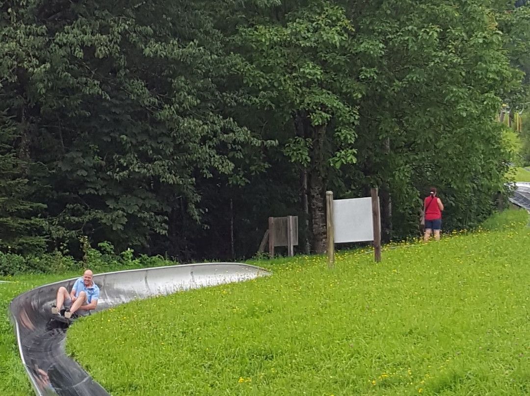 Sommerrodelbahn Strobl