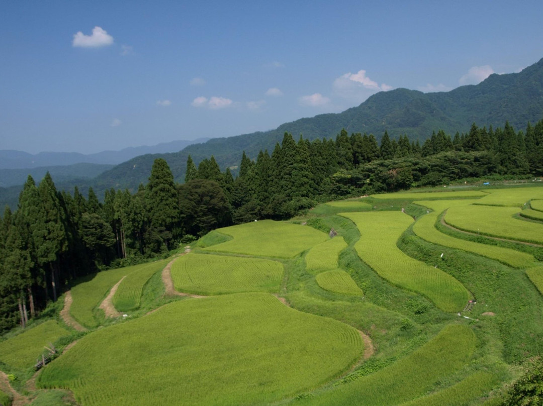 Rice terrace, Mt.Ue-香美町必去景点