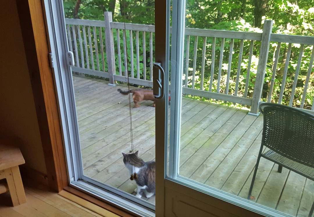 Sous un Ciel etoile主图