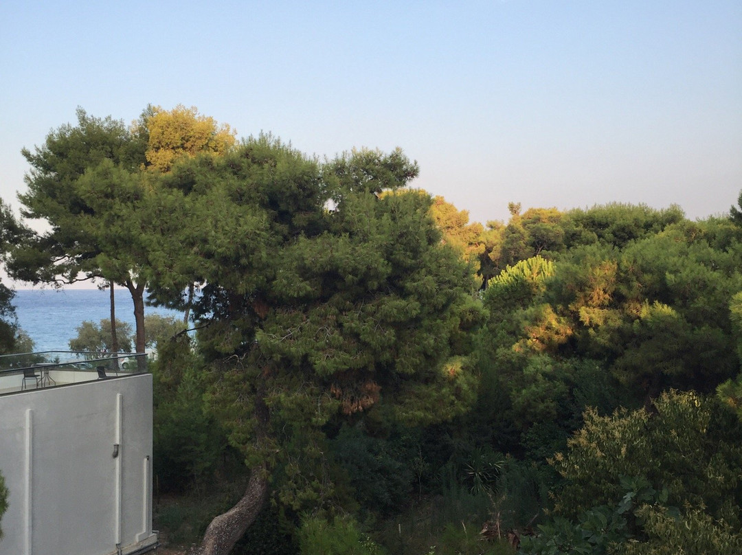 The Gardens Gallery Hotel主图