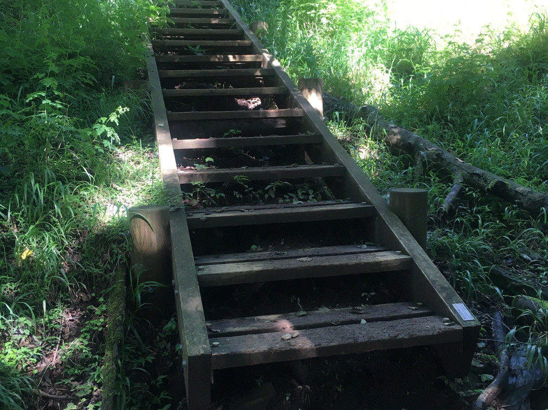Mt. San no To-秦野市必去景点