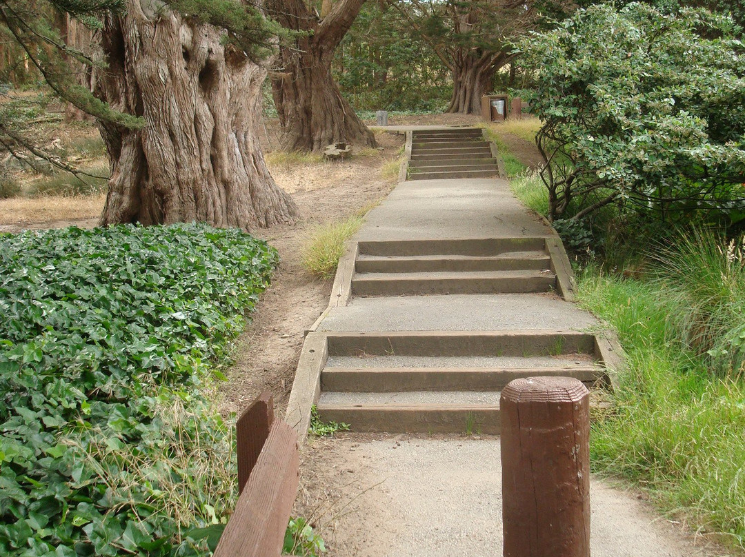 麦莱恩公园-旧金山必去景点
