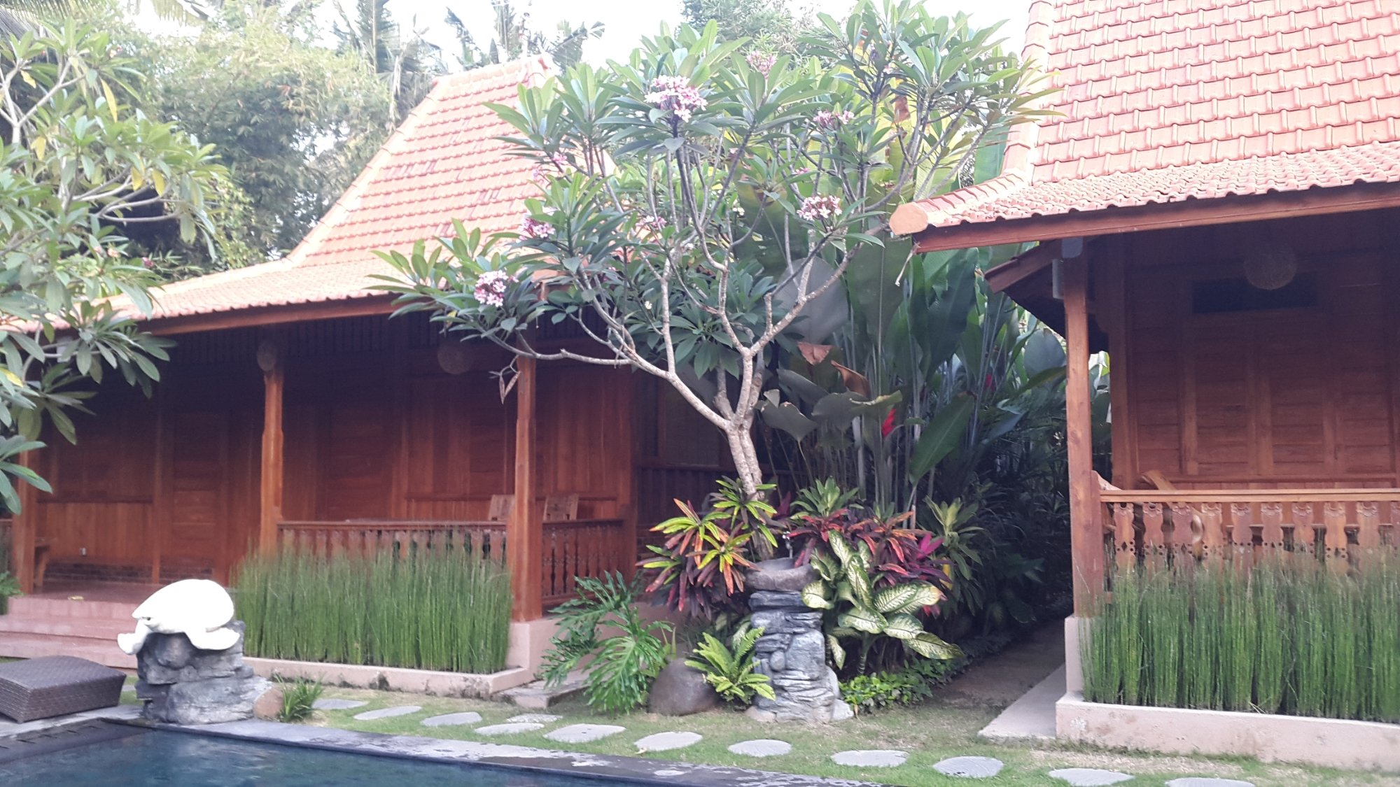 Bali Bulan Villa-泳池