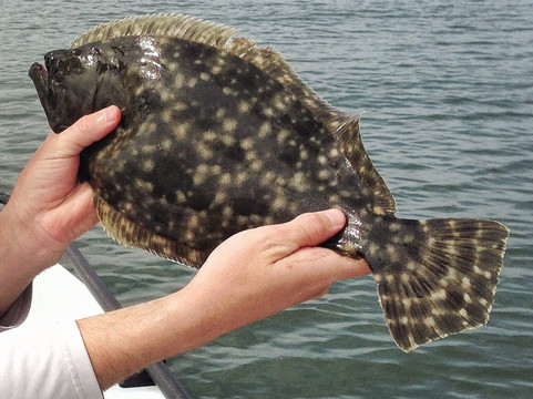 Old City Guide Service-Saint Augustine Beach必去景点