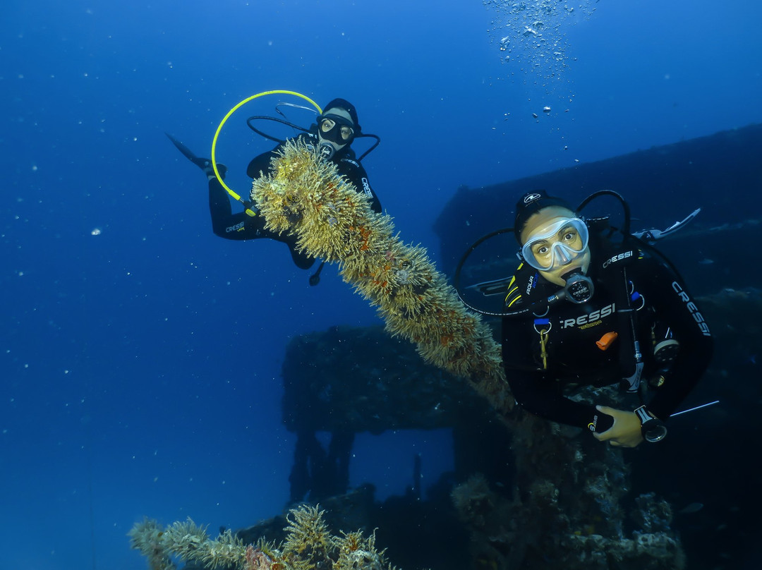 Manatus Mexico-从莫雷洛斯港必去景点