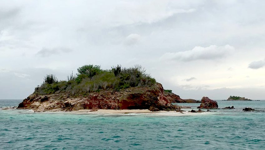 Joy Sailing Tours-Jolly Harbour必去景点