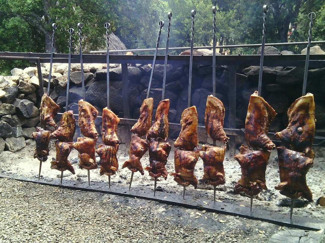 Orgosolo餐馆和美食-Ristorante Camping Supramonte, Centro Escursioni