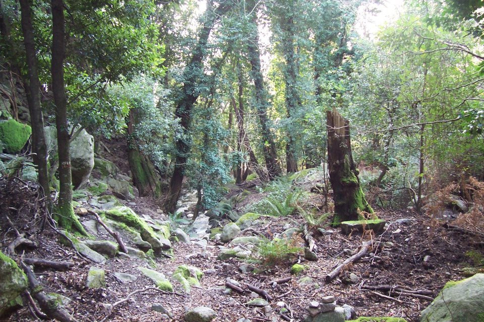 A Piedi Nel Parco景点图片