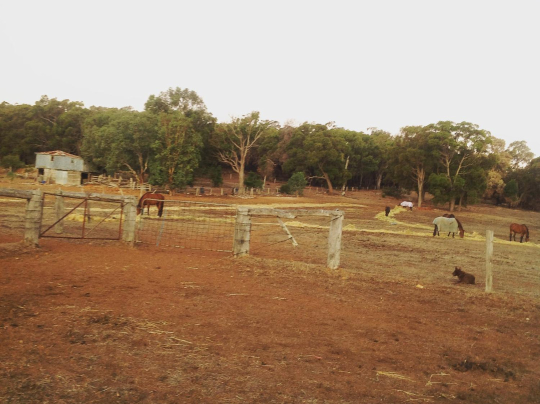 Langford Hill Riding Farm景点图片