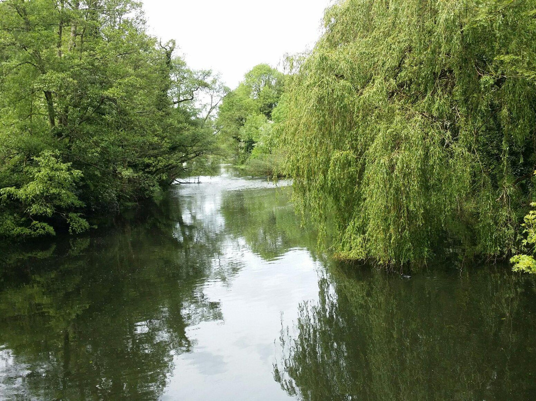null-Denham