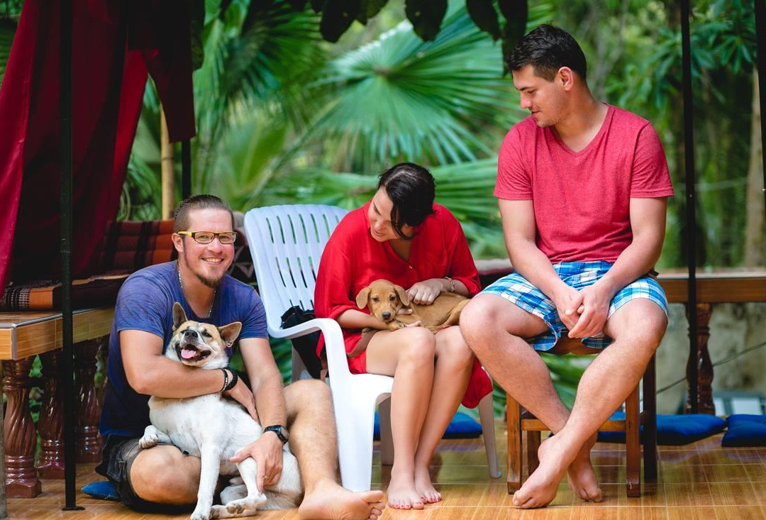 Sabai Dog-阁骨岛必去景点