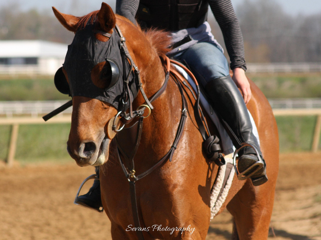 The Thoroughbred Center-列克星敦必去景点