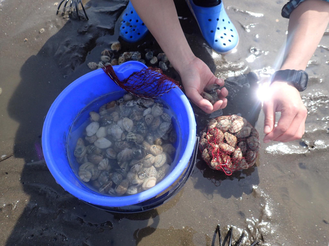 Futtsu Beach-富津市必去景点
