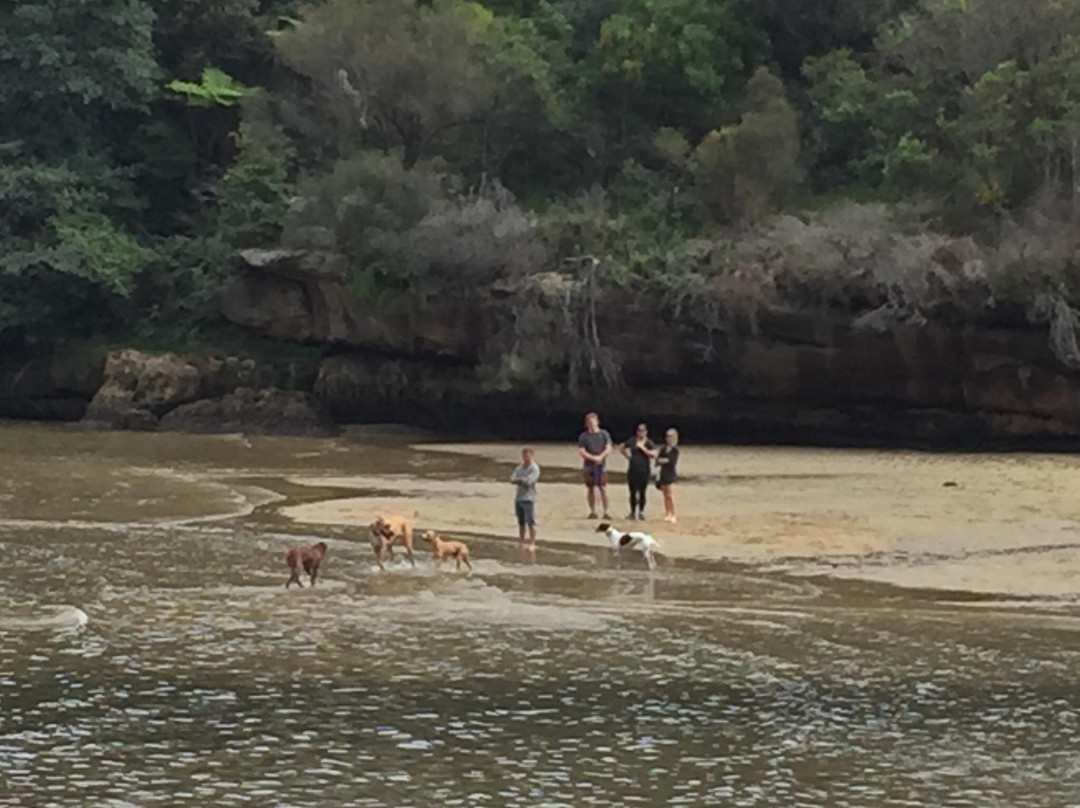 小悉立斯湾景点图片