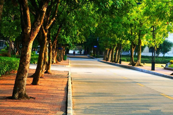 广西大学-南宁市必去景点