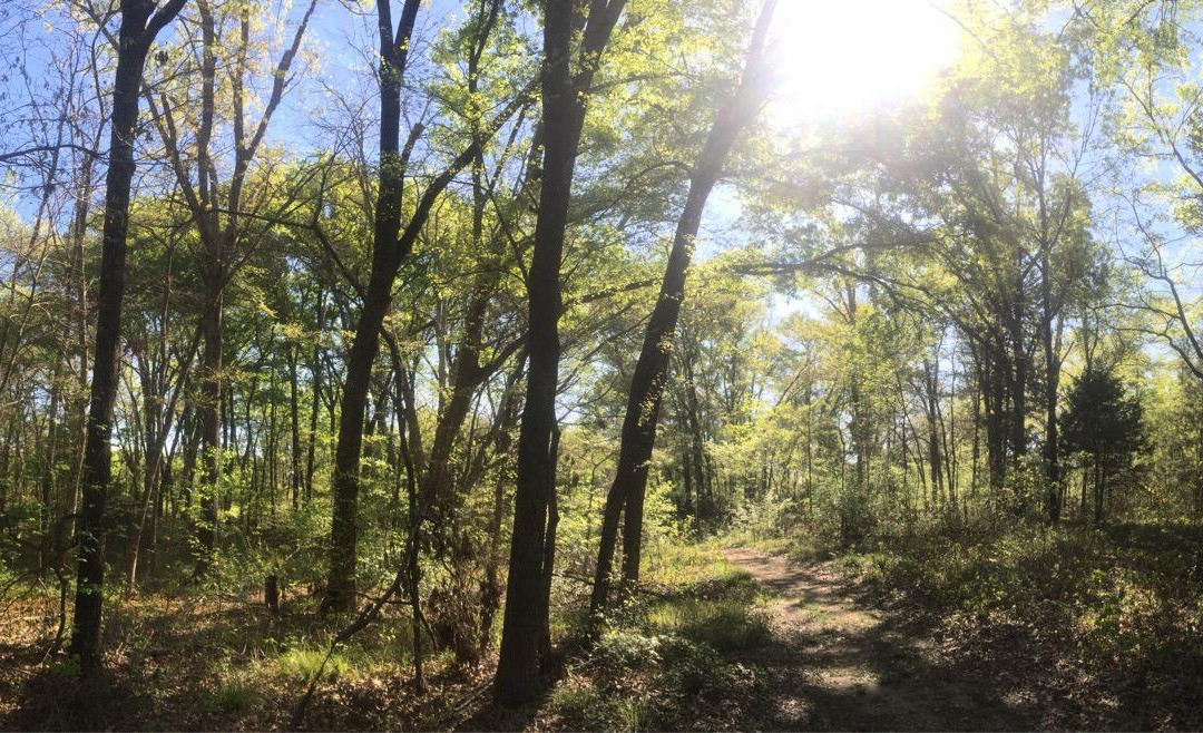 Lake Tawakoni State Park-Wills Point必去景点