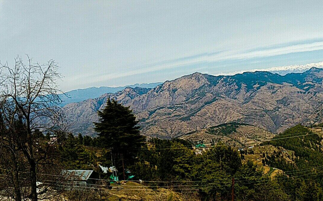 Reserve Forest Sanctuary景点图片