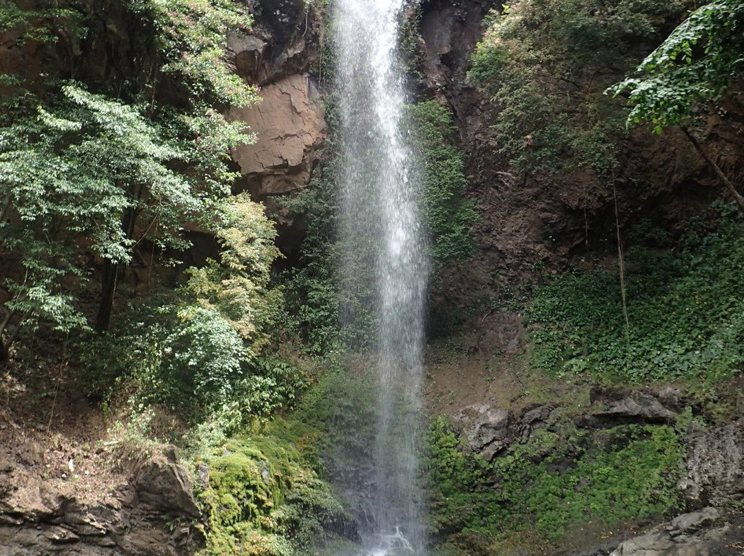 Tavida Waterfall景点图片