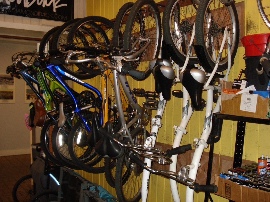 Daniels Bicycle Rentals and Sales-玛丽安德尔湾必去景点