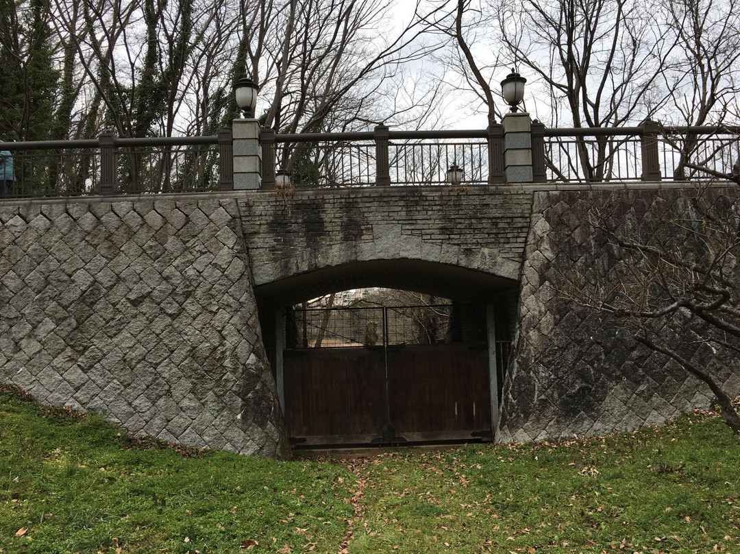 Aobanomori Park-千叶市必去景点