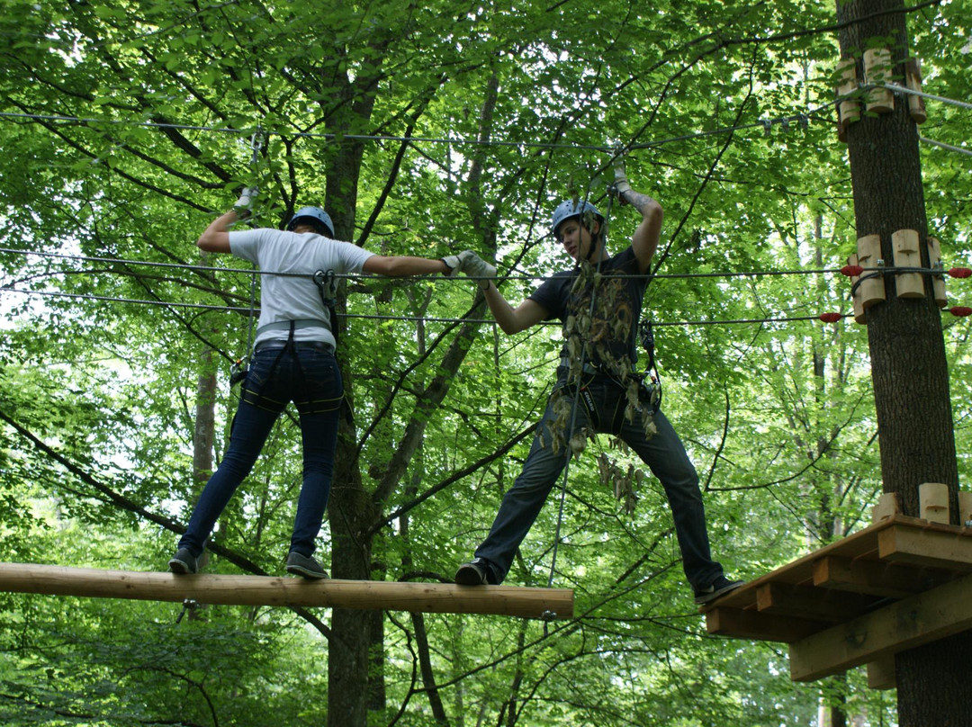Kletterwald Illingen景点图片