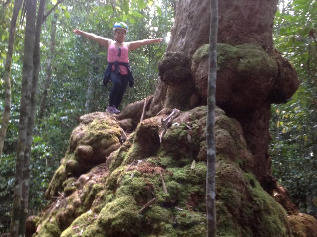 Lake Paluma-汤斯维尔必去景点