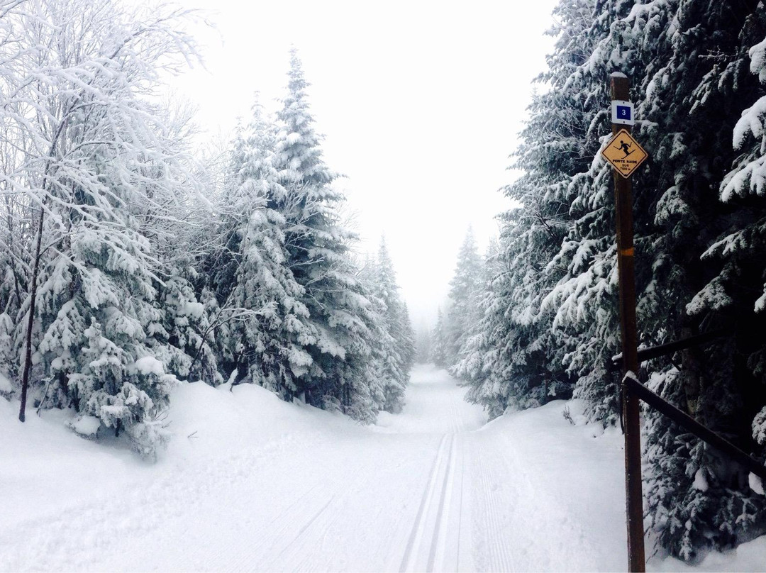 Sentier des Caps-Saint-Tite-des-Caps必去景点