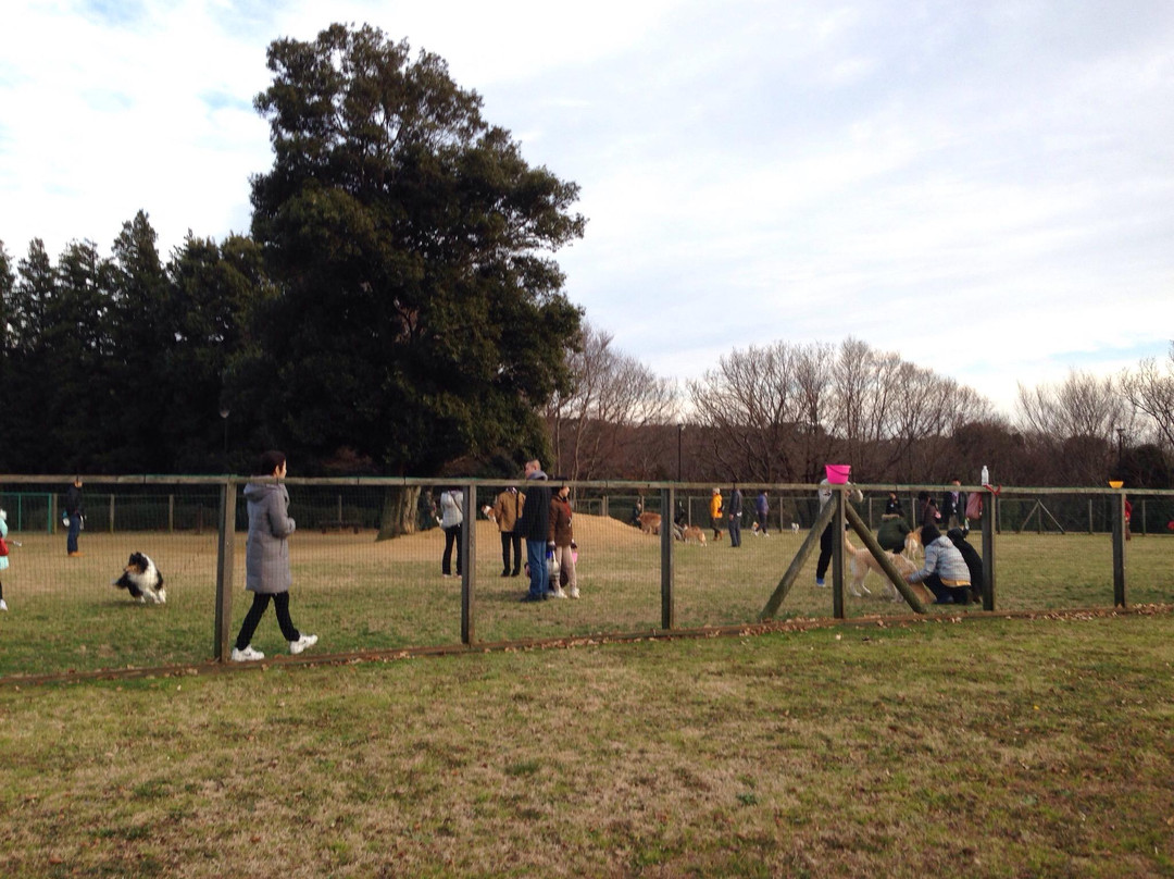 Hokusouhananooka Park-印西市必去景点