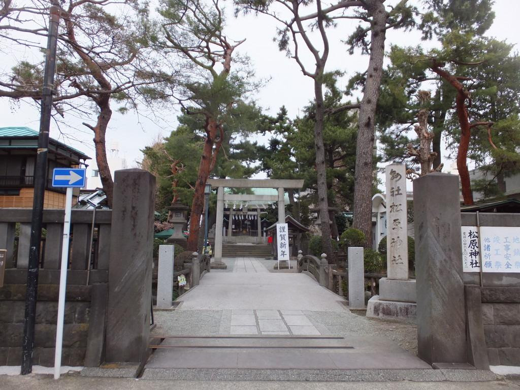 Matsubara Shrine-小田原市必去景点