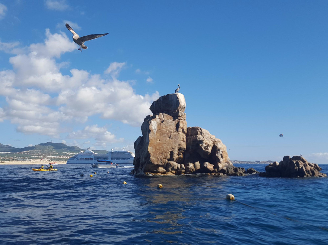 Land's End Tours-圣何塞卡波必去景点