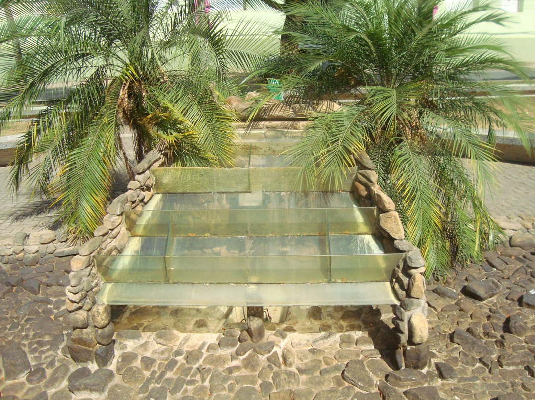 Centro Cultural José Ribeiro Tristão景点图片