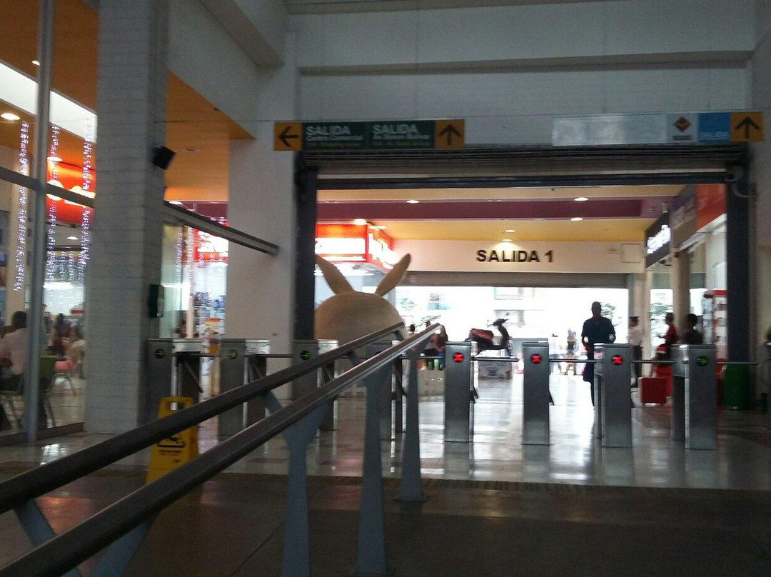 Megabus-佩雷拉必去景点