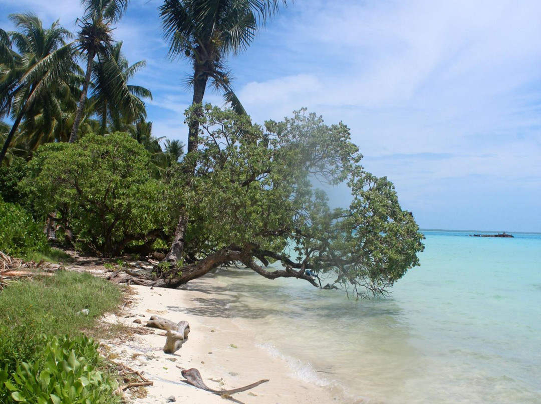 Fanning Island旅游攻略图片