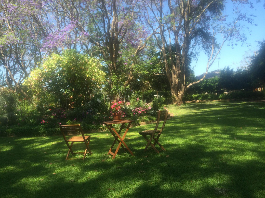 Pottique Lavender Farm-Kingaroy必去景点