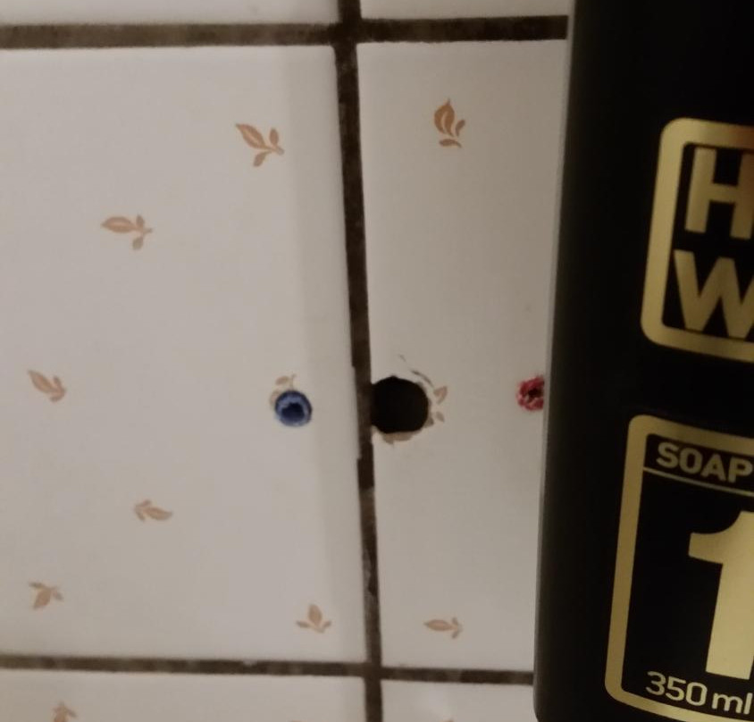 Hotel Zur Traube主图