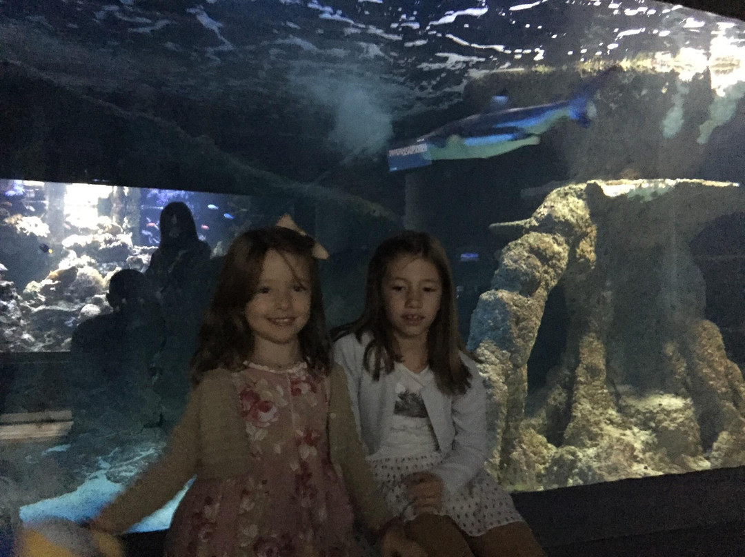 Acuario de la Universidad de Murcia-穆尔西亚必去景点