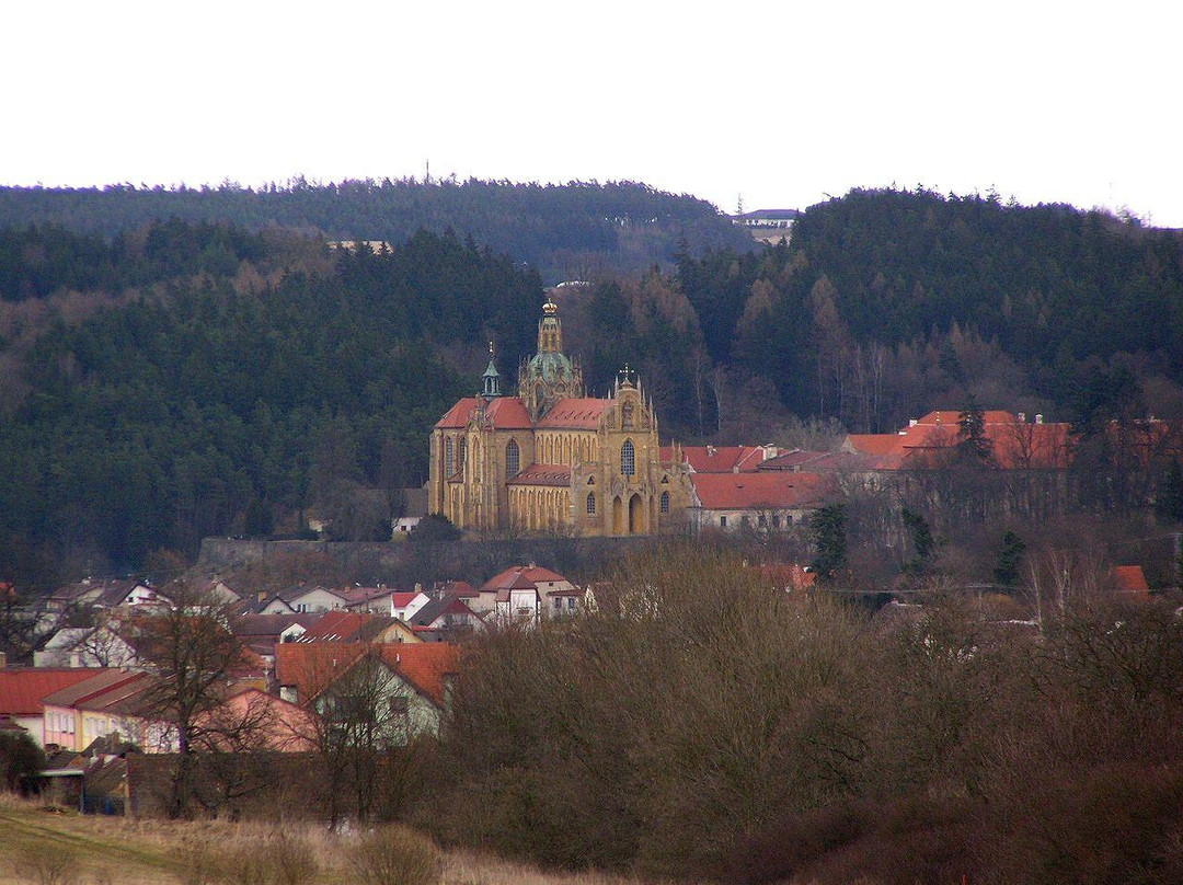 Kladruby旅游攻略图片