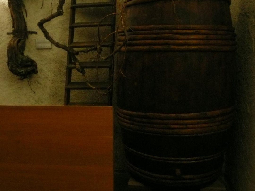 Sudtiroler Weinmuseum景点图片
