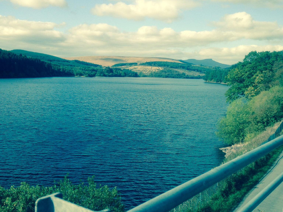 Brecon Mountain Railway景点图片