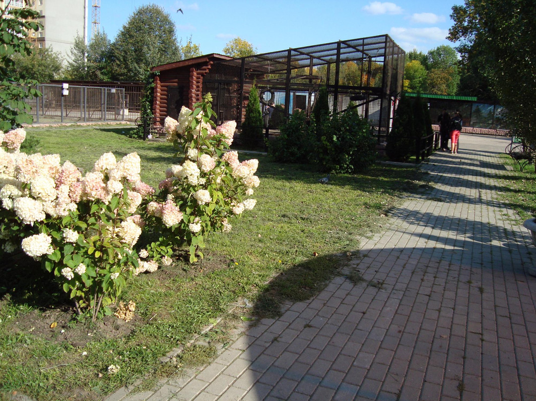 Ivanovo Zoo景点图片