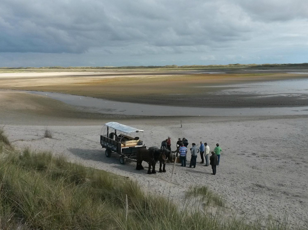 Jan Plezier Huifkartochten Texel