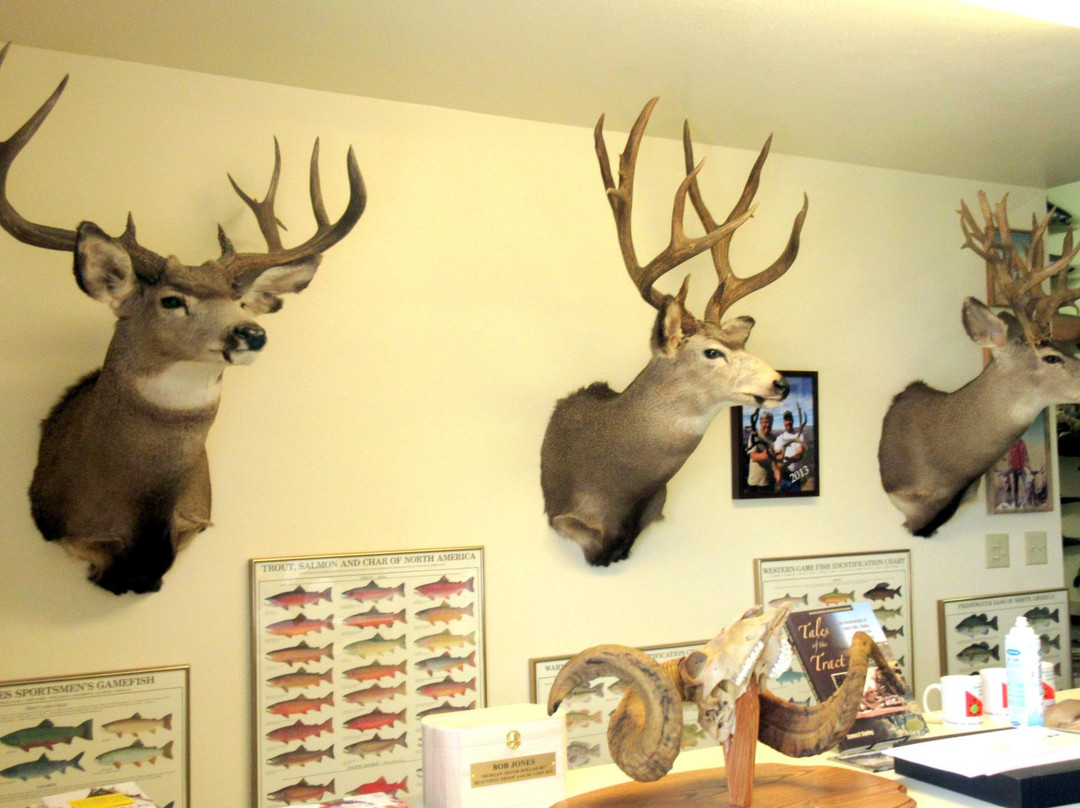 Idaho Heritage Museum景点图片